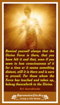 Belong to the Divine.jpg